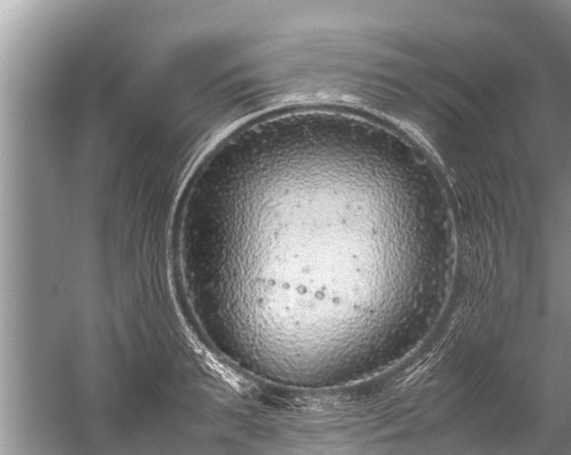 X0000059810895200510241352