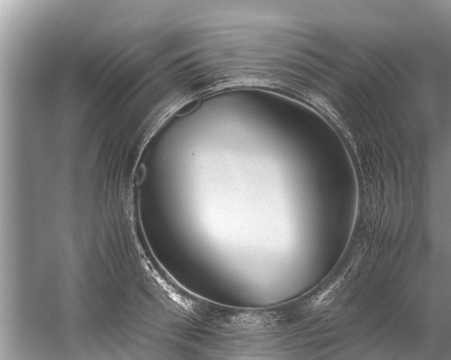 X0000059810898200510241352