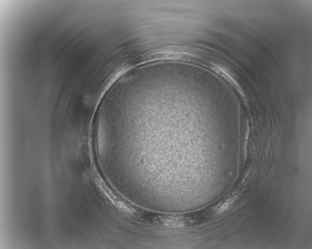 X0000059810899200510241352