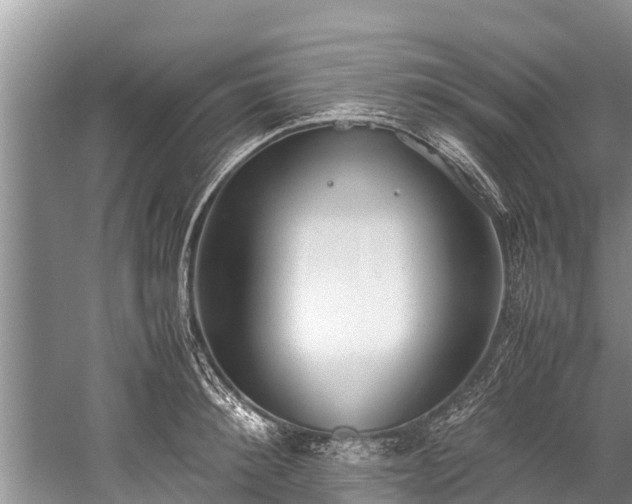 X0000059810900200510241352