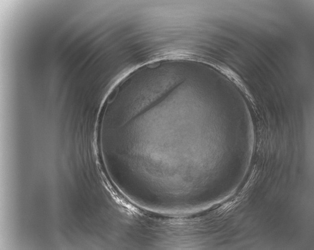 X0000059810904200510241352