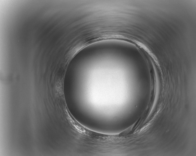 X0000059810905200510241352