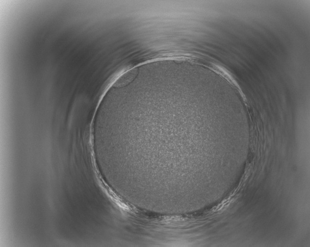 X0000059810907200510241352