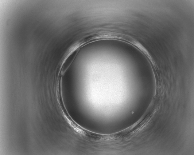 X0000059810909200510241352