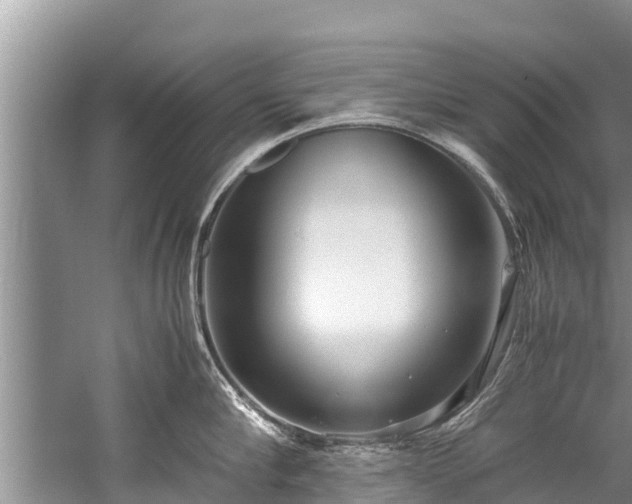 X0000059810910200510241352