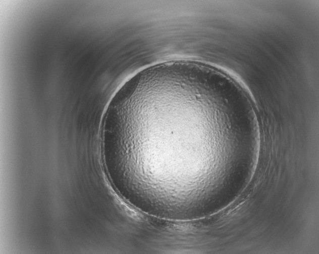 X0000059810911200510241352