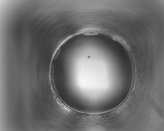 X0000059810912200510241352