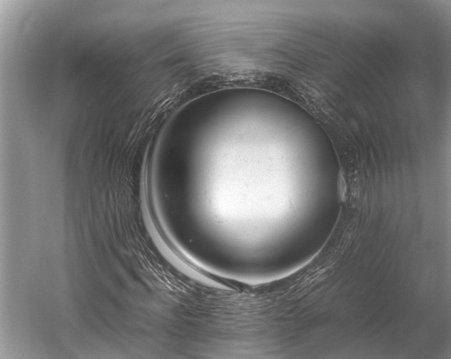 X0000059810916200510241351