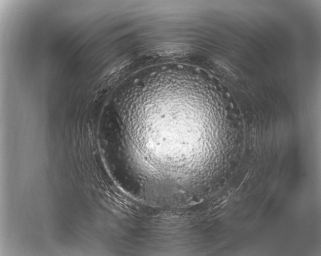 X0000059810917200510241351