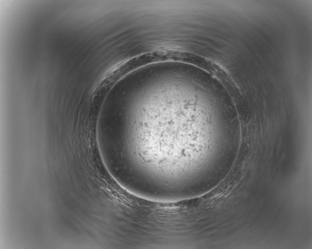 X0000059810919200510241351