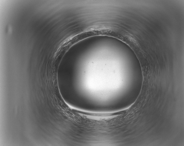 X0000059810920200510241351