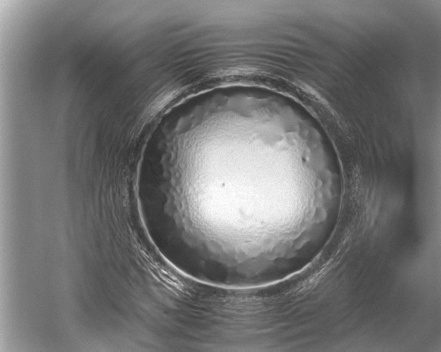 X0000059810921200510241351