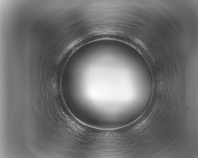 X0000059810922200510241351