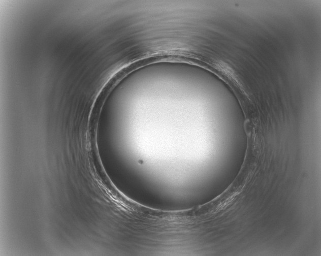 X0000059810924200510241351