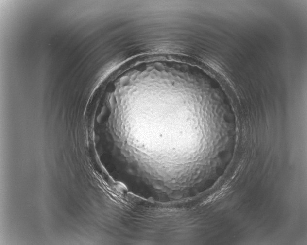 X0000059810925200510241351