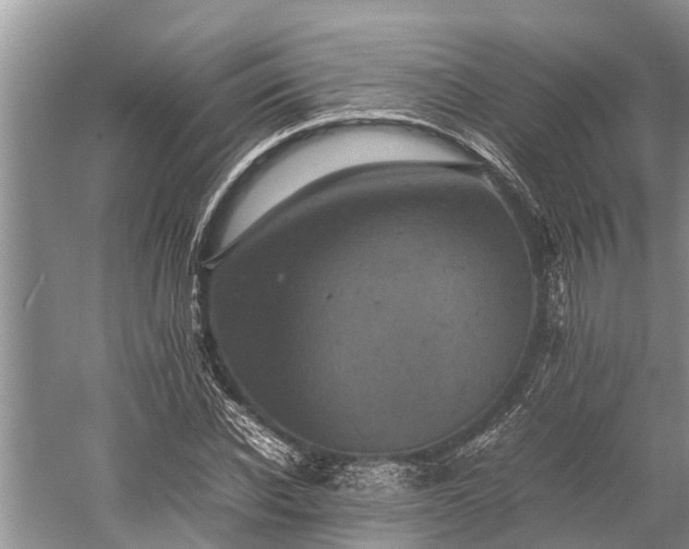 X0000059810926200510241351