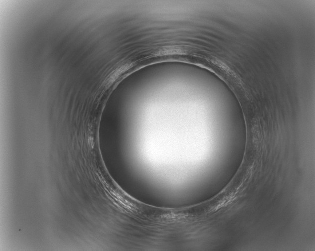 X0000059810929200510241351