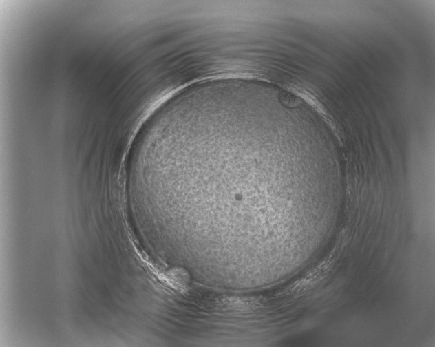 X0000059810933200510241351