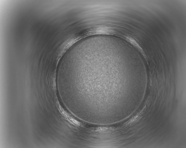 X0000059810938200510241352