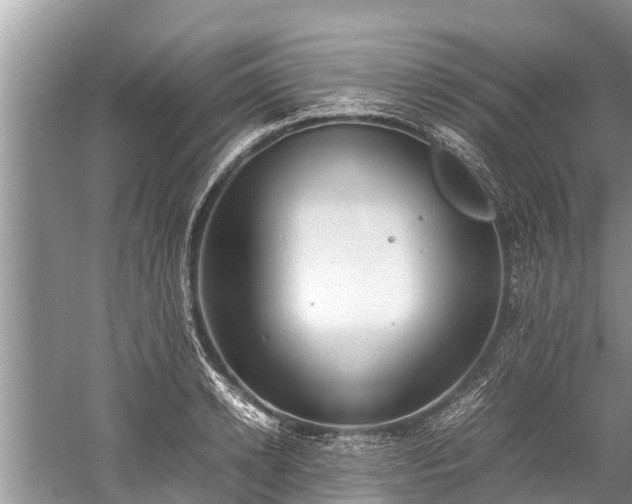 X0000059810942200510241352