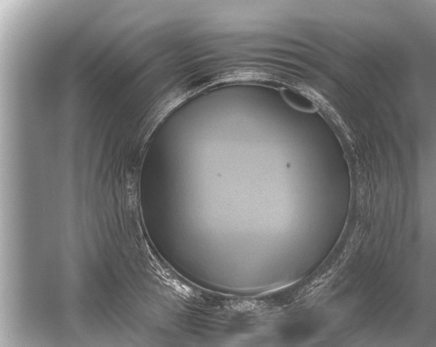 X0000059810945200510241352