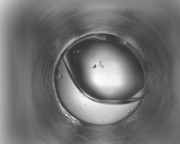 X0000059810950200510241352