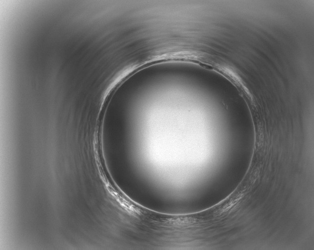 X0000059810952200510241352