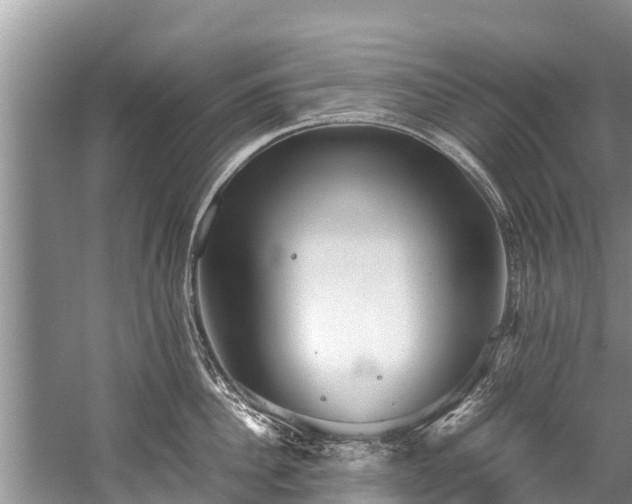 X0000059810956200510241352