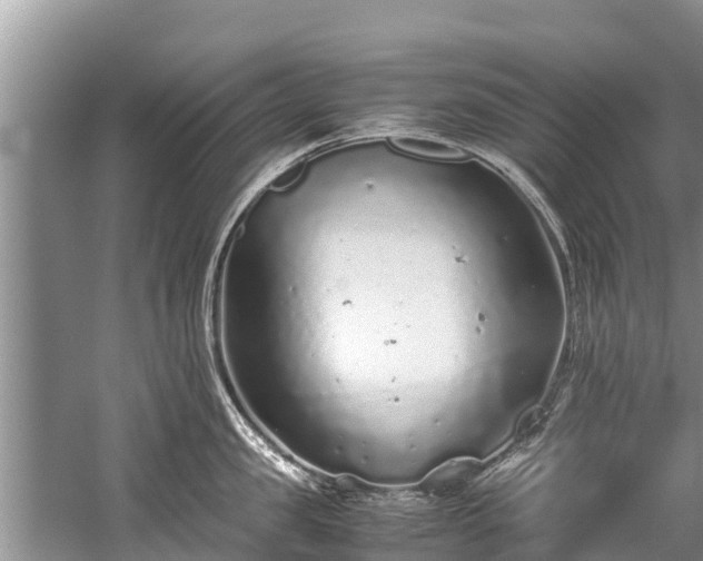 X0000059810957200510241352