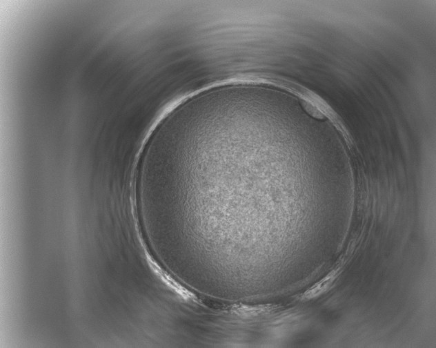 X0000059810958200510241352