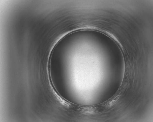 X0000059810959200510241352