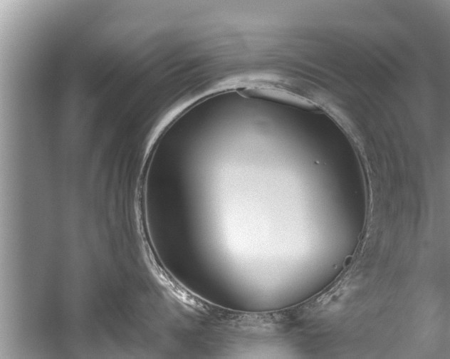 X0000059810960200510241352