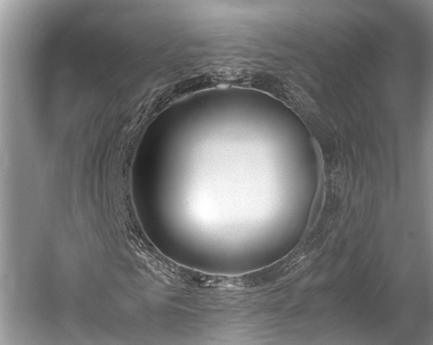 X0000059810961200510241351