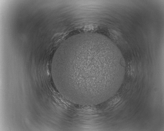 X0000059810962200510241351