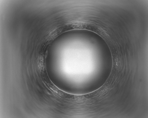 X0000059810964200510241351