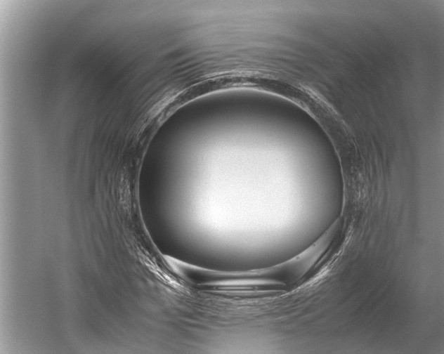 X0000059810969200510241351