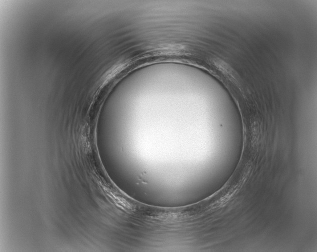 X0000059810970200510241351