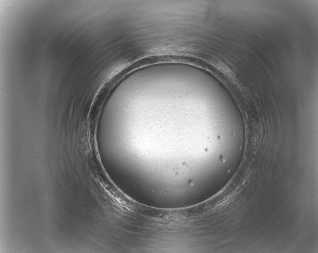 X0000059810974200510241351