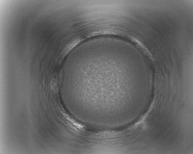 X0000059810977200510241351