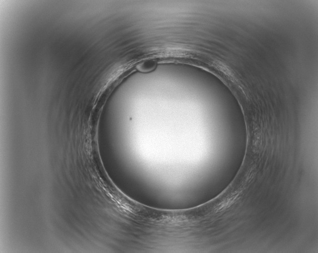 X0000059810978200510241351