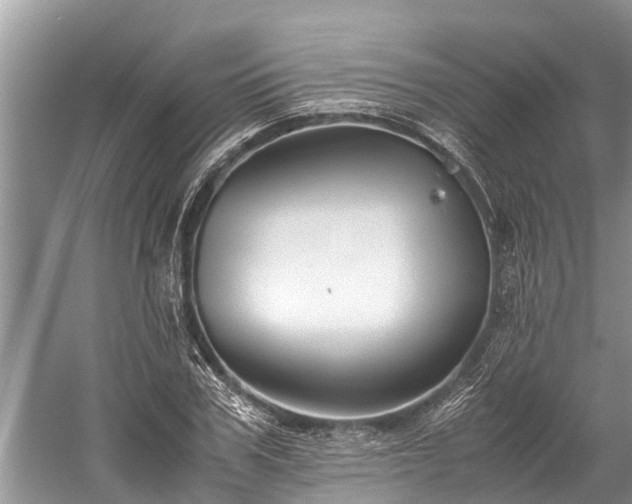 X0000059810979200510241351