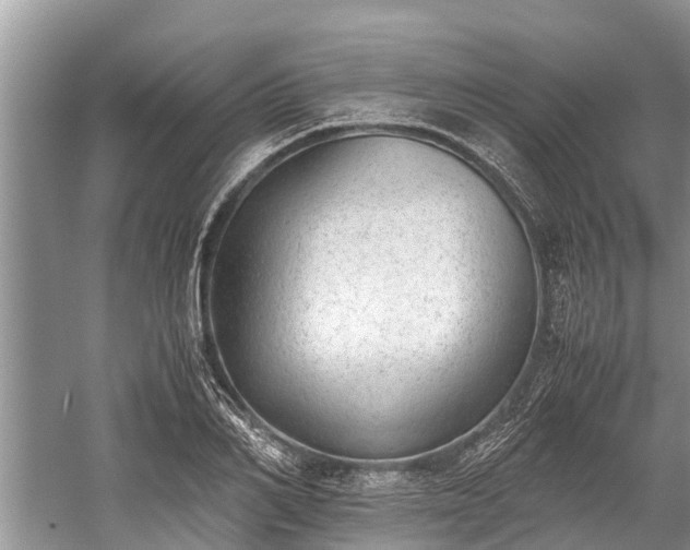 X0000059810982200510241351