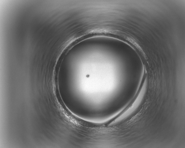 X0000059810984200510241351