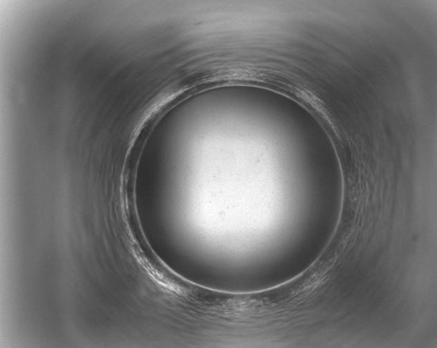 X0000059810987200510241351