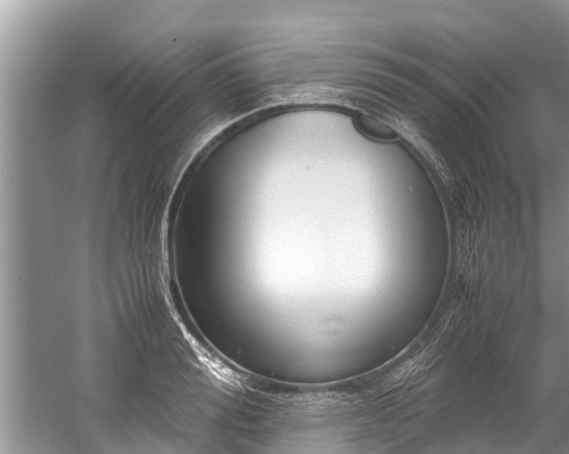 X0000059810988200510241351