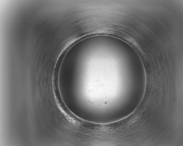 X0000059810991200510241351