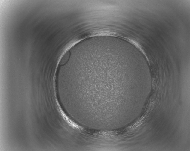 X0000059810995200510241351