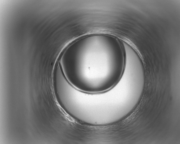 X0000059810996200510241351