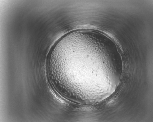 X0000059810998200510241350