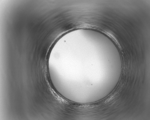 X0000059811000200510241350